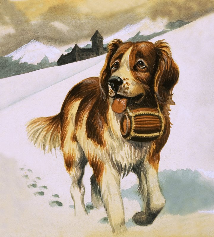 St Bernards hund av English School