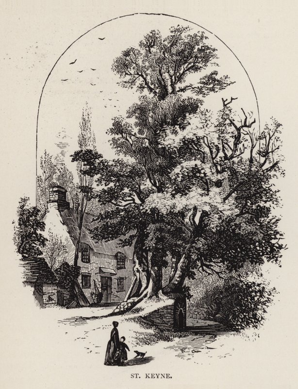St Keyne (gravyr) av English School