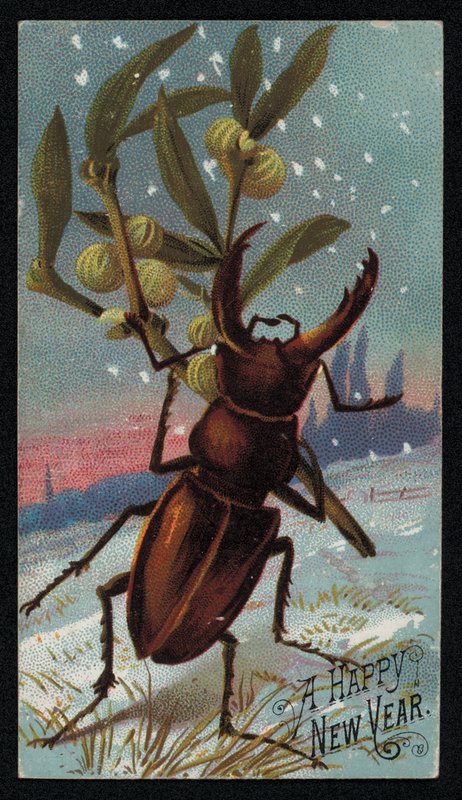 Hjortbagge som bär mistel i en vintrig scen, julhälsningskort (chromolitho) av English School