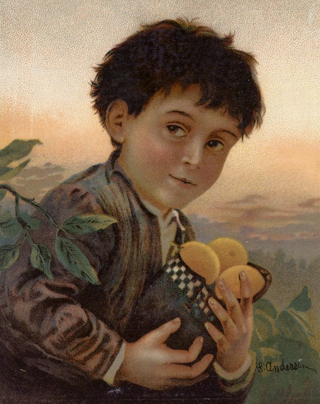 Stulen frukt (färg litho) av English School