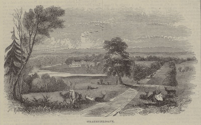 Strathfieldsaye av English School