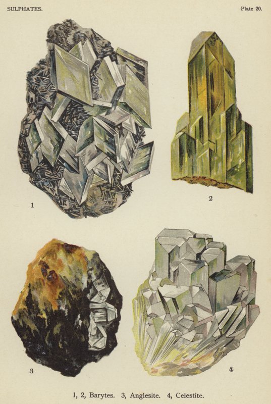 Sulfater, baryter, anglesite, celestite (färg litho) av English School