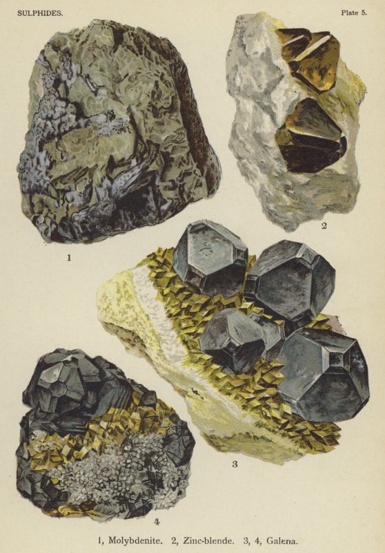 Sulfider, molybdenit, zinkblandning, galena (färg litho) av English School