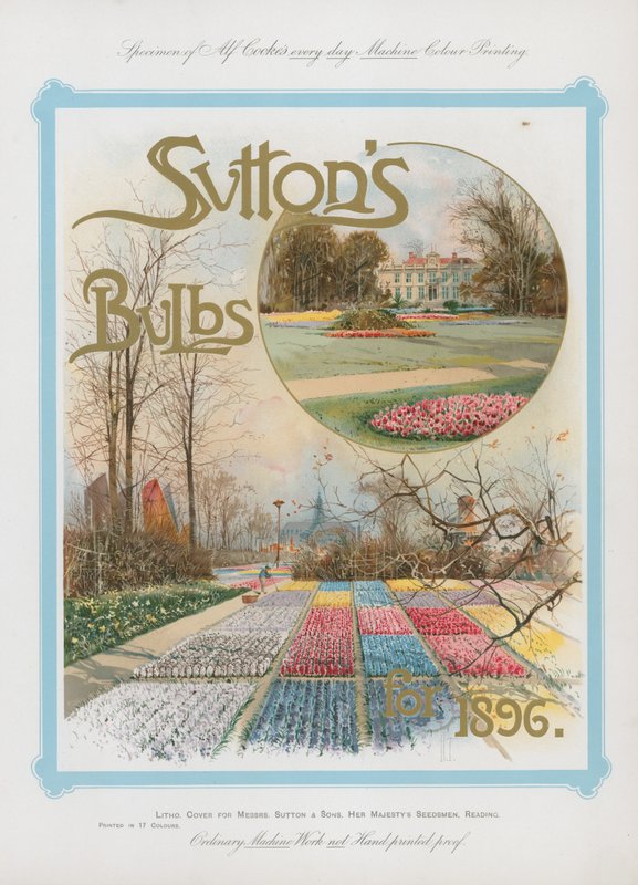 Suttons lampor för 1896 av English School