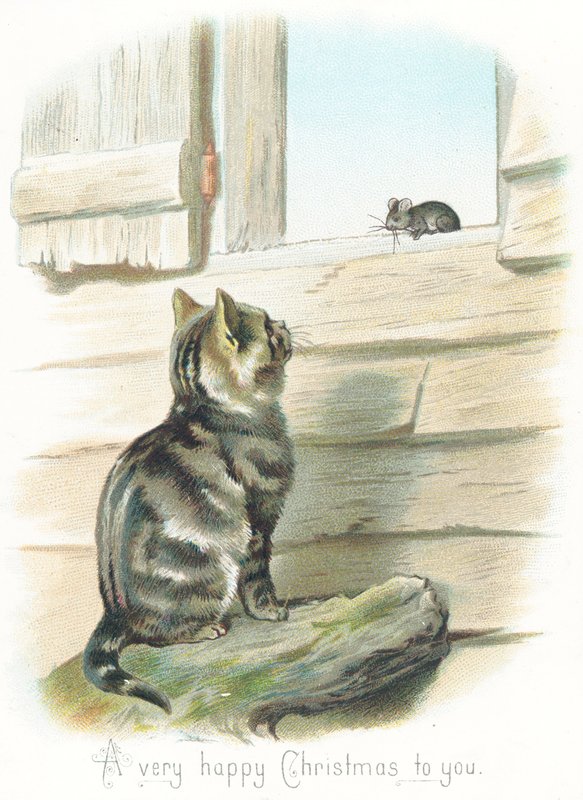 Tabby Cat stirrar på musen, julkort av English School
