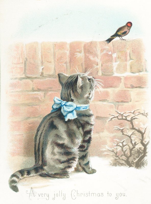 Tabby Cat tittar på Finch på väggen, julkort av English School