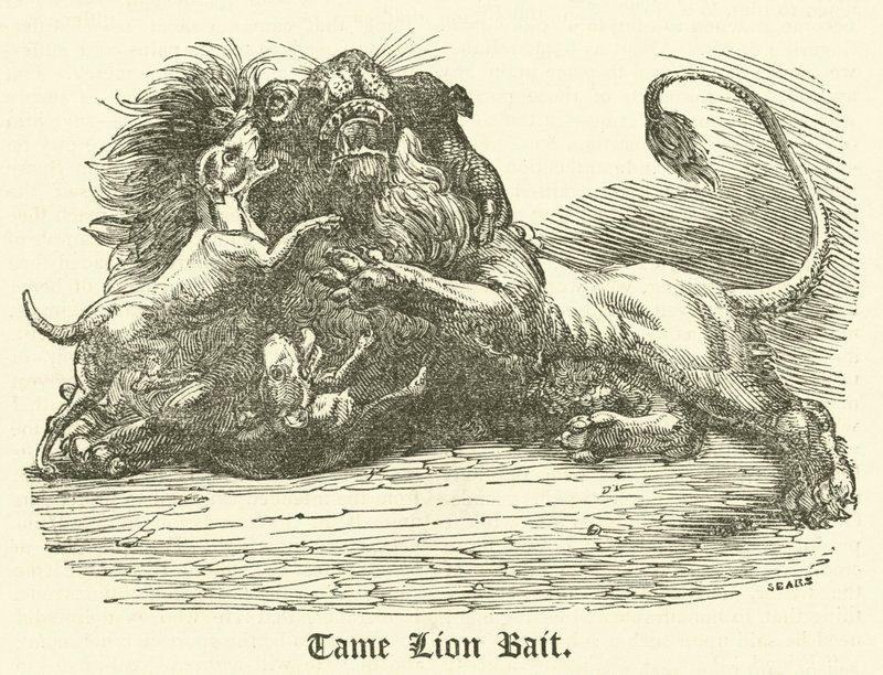 Tame Lion Bait (gravyr) av English School