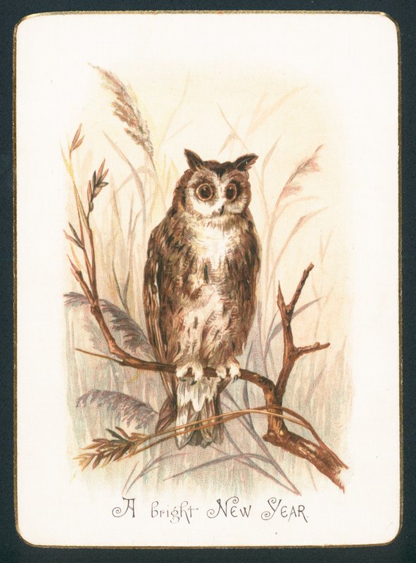 Tawny Owl, nyårskort av English School