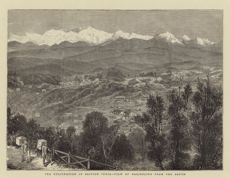 Teodling i Brittiska Indien, utsikt över Darjeeling från söder (gravyr) av English School