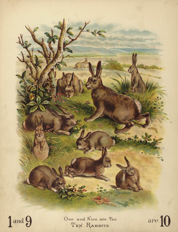 Tio kaniner (chromolitho) av English School