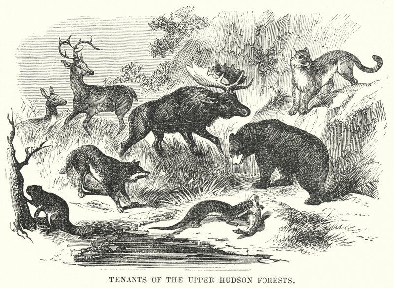 Hyresgäster i Upper Hudson Forests (gravyr) av English School
