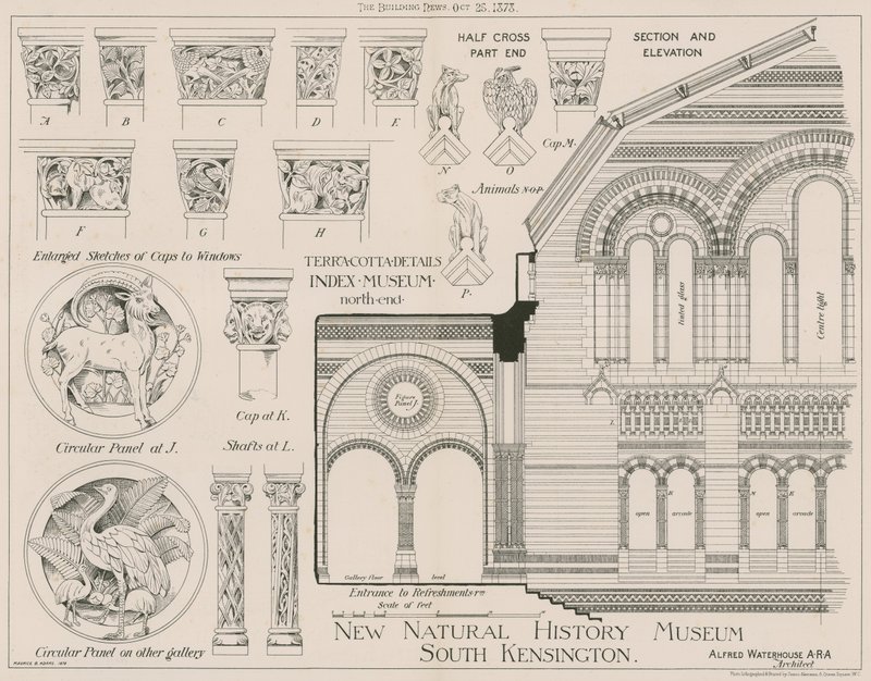 Terrakottadetaljer från det nya Natural History Museum, South Kensington av English School