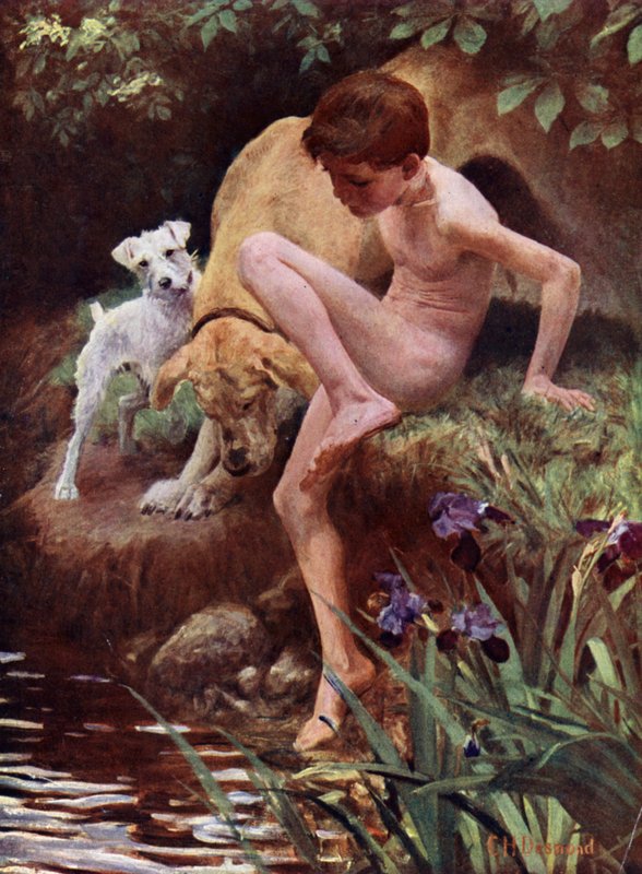 The Bathers - pojke och hundar som badar av English School