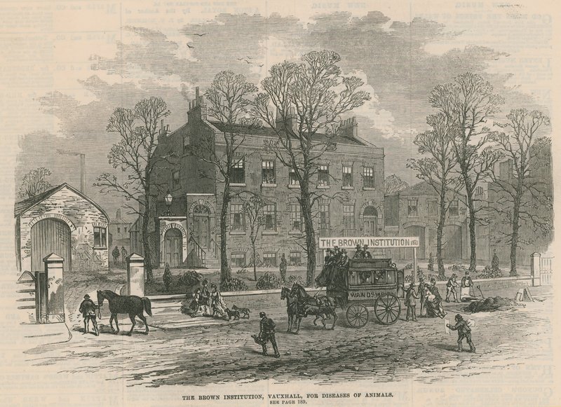The Brown Institution, Vauxhall, för sjukdomar hos djur av English School