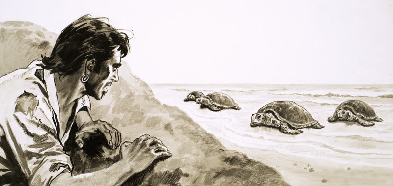 Castaways: Terror of Turtle Island av English School