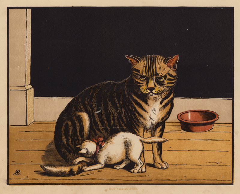 Katten (färglitografi) av English School