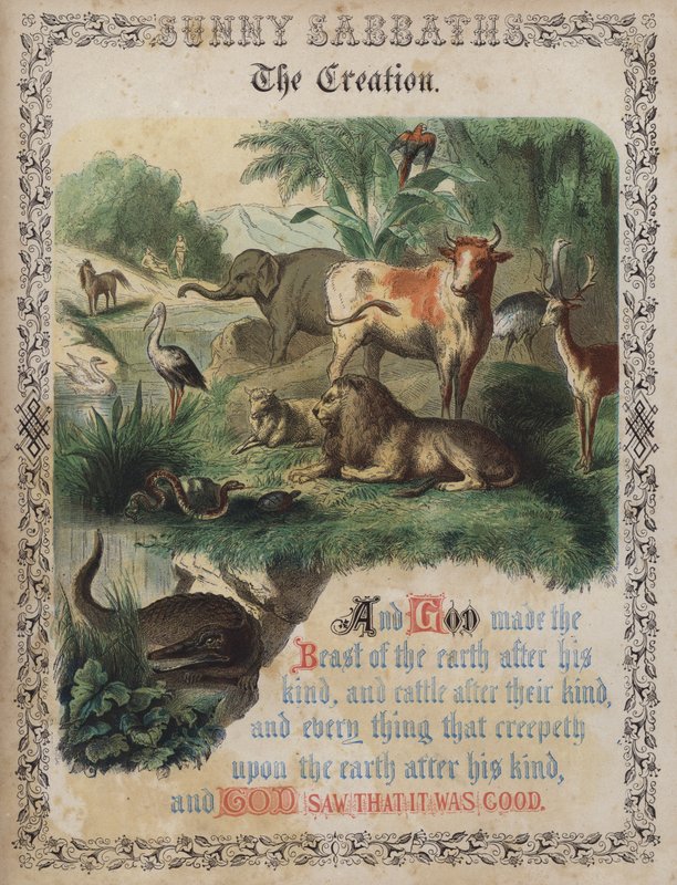 The Creation (färgad gravyr) av English School