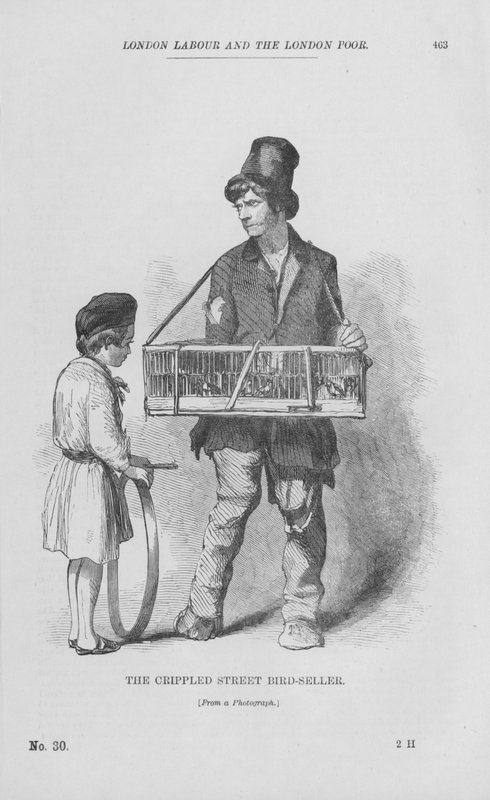 The Crippled Street Bird-Seller (gravyr) av English School