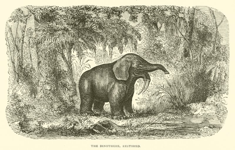 The Dinothere, restaurerad (gravyr) av English School