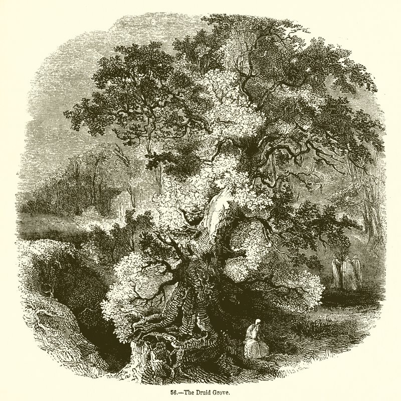 Druid Grove av English School