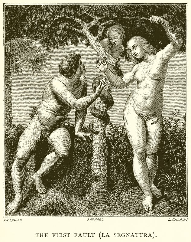 Det första felet (La Segnatura) av English School
