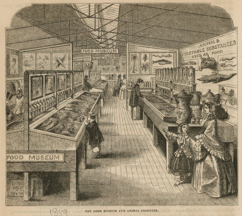 Matmuseet och djurprodukter, South Kensington Museum av English School