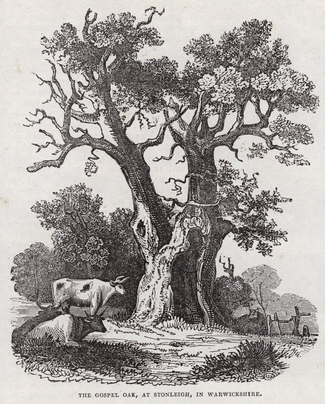 The Gospel Oak, Stonleigh, Warwickshire (gravyr) av English School
