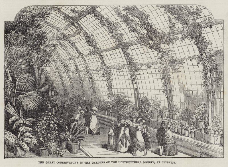 The Great Conservatory in the Gardens of the Horticultural Society, i Chiswick (gravyr) av English School