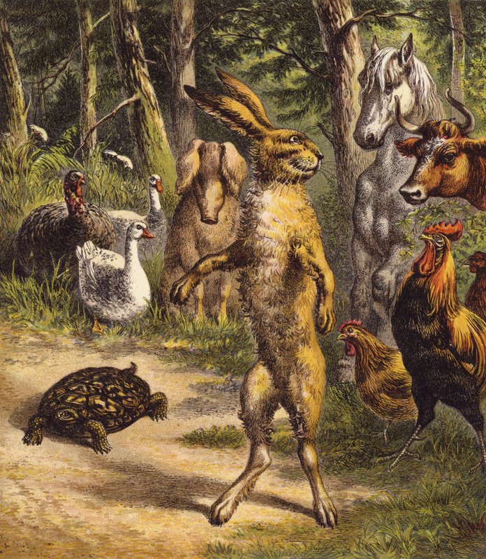 Haren och sköldpaddan (färg litho) av English School