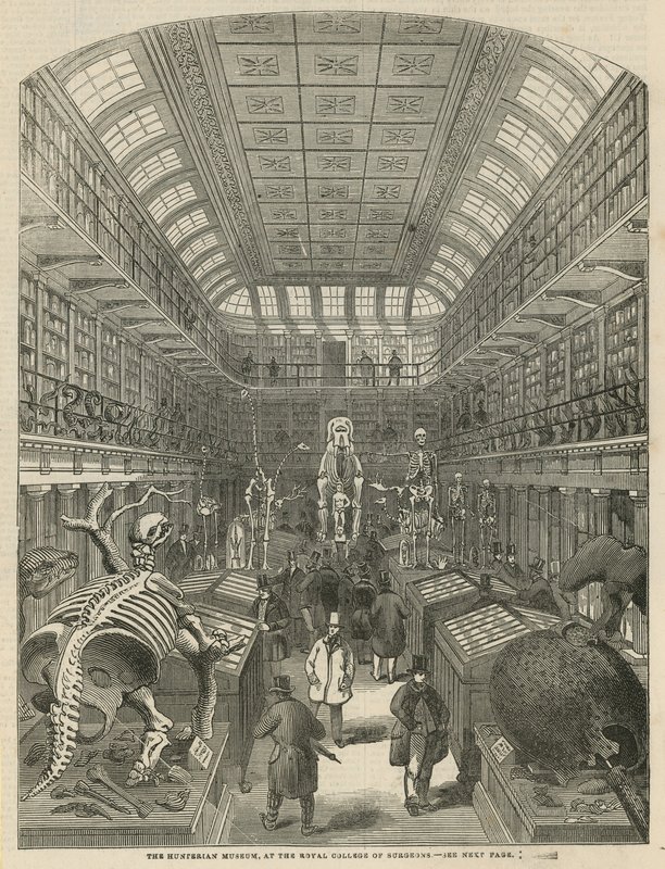 The Hunterian Museum vid Royal College of Surgeons av English School