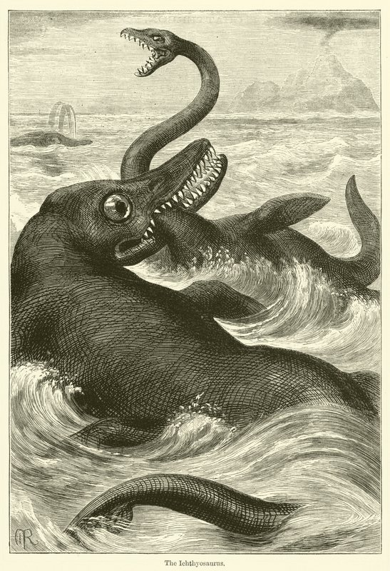 Ichthyosaurus (gravyr) av English School