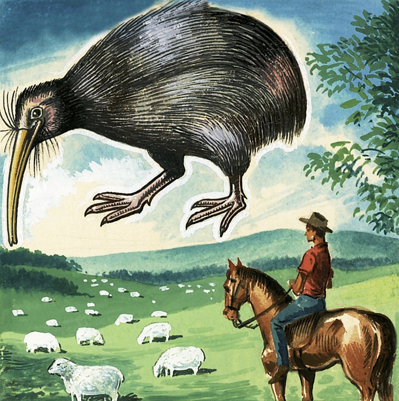 Kiwi, Nya Zeelands emblem av English School