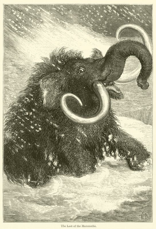 The Last of the Mammoths (gravyr) av English School
