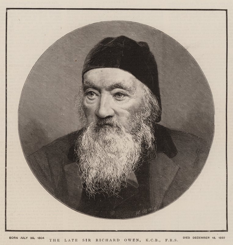 Den sene Sir Richard Owen, KCB, FRS (gravyr) av English School