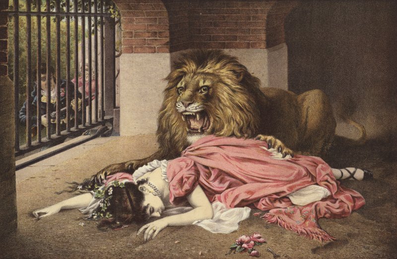 Lions brud av English School