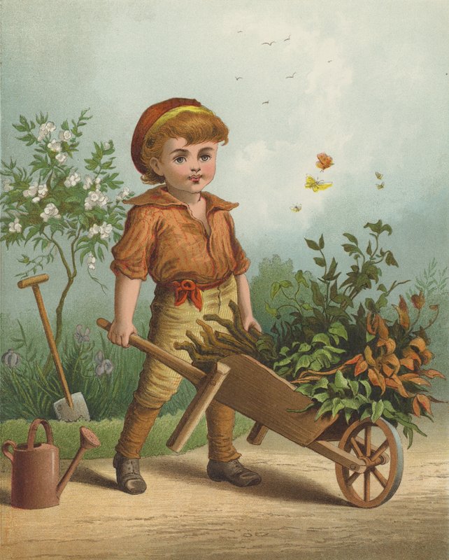 Den lilla trädgårdsmästaren (chromolitho) av English School