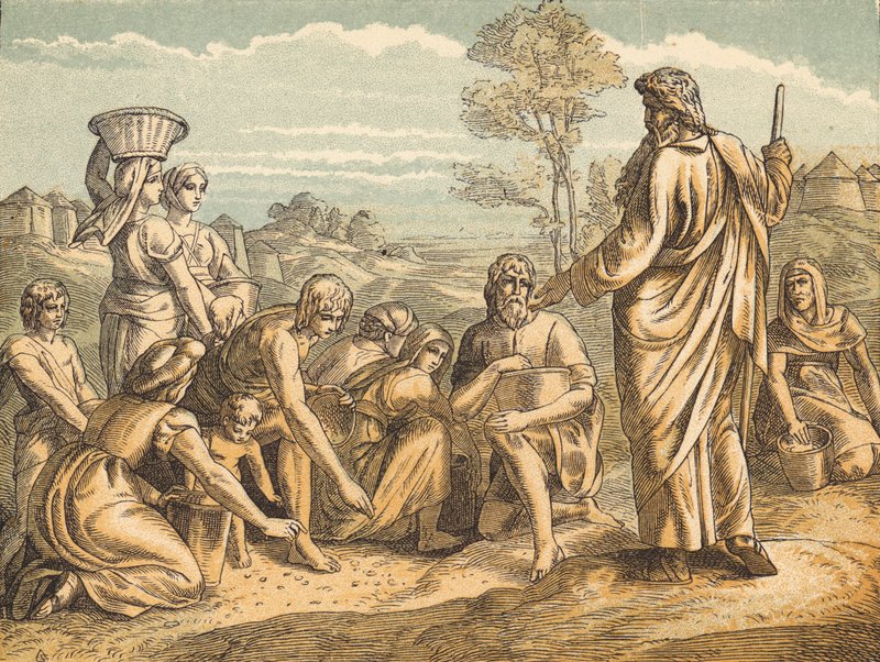 The Manna (färgad gravyr) av English School