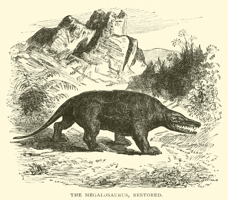 Megalosaurus, restaurerad (gravyr) av English School