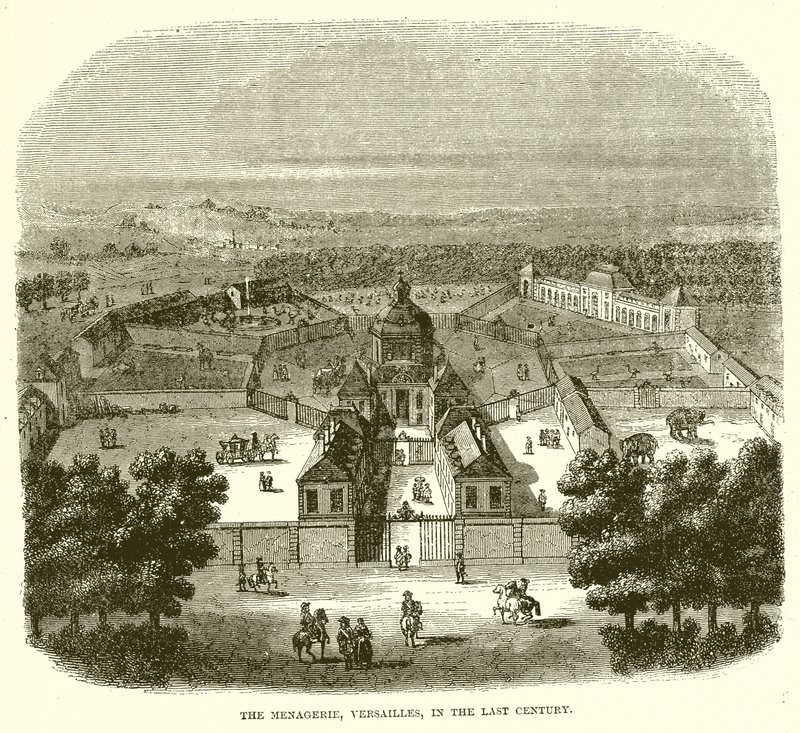 Menageriet, Versailles, under det senaste århundradet av English School