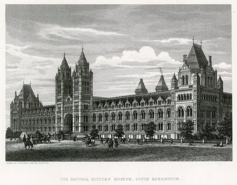 Naturhistoriska museet, 1881 av English School