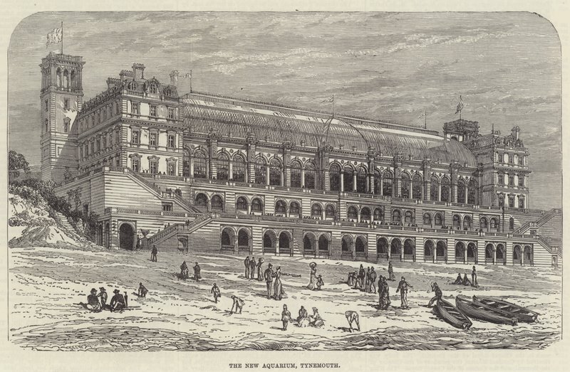 The New Aquarium, Tynemouth (gravyr) av English School