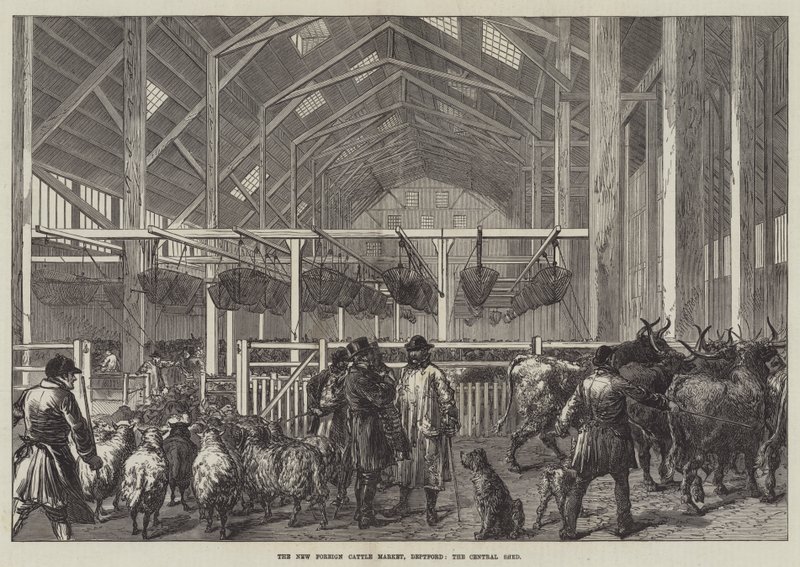 The New Foreign Cattle Market, Deptford, Central Shed (gravyr) av English School