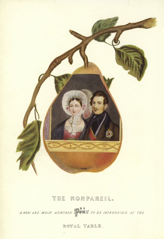 The Nonpareil med porträtt av drottning Victoria och prins Albert av English School