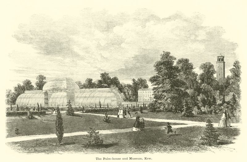 Palmhuset och museet, Kew av English School