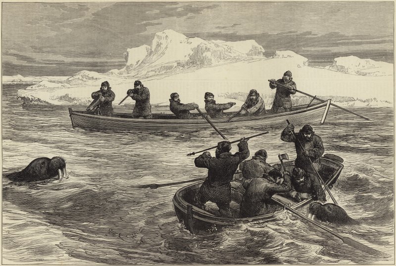 Pandoras arktiska expedition av English School