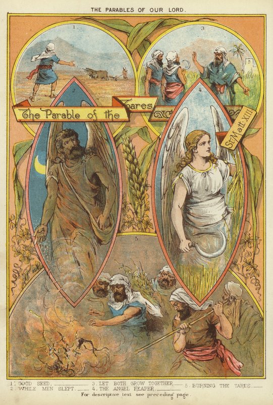 Kristi liknelser: liknelsen om ogräset (chromolitho) av English School