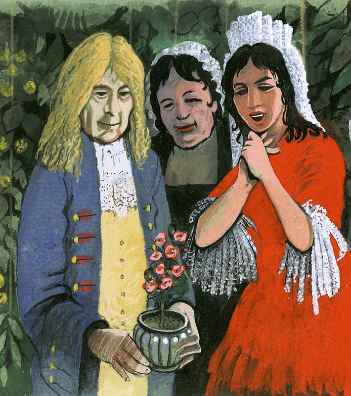 Pelargonium triste-sorten av Pelargon var mycket populär på 1600- och 1700-talen av English School
