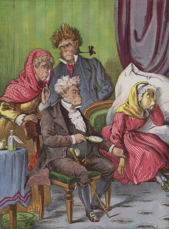 Läkaren (chromolitho) av English School