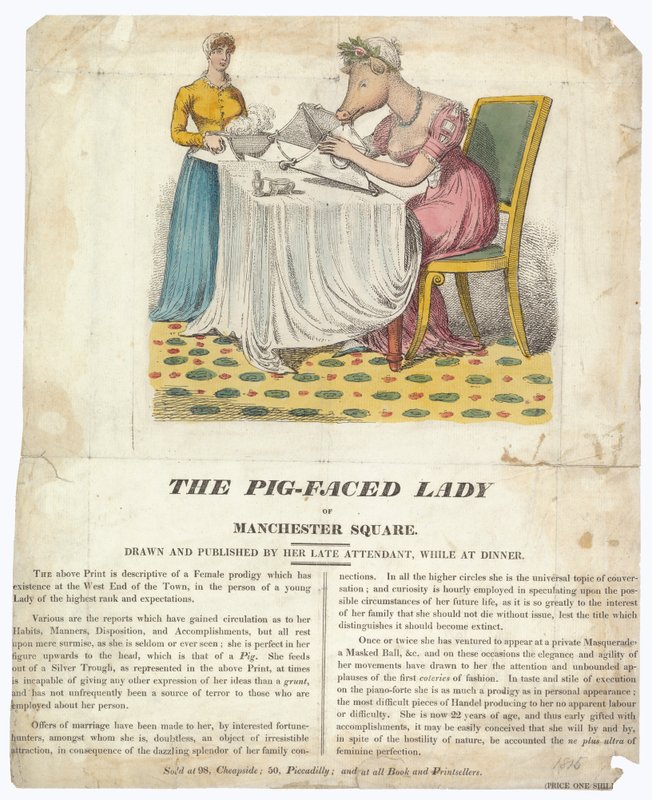 The Pig-faced Lady of Manchester Square av English School