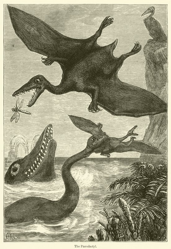 Pterodactyl (gravyr) av English School